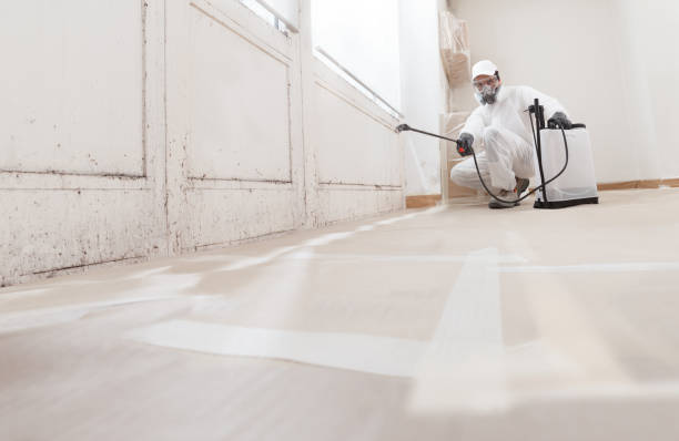 24/7 Emergency Mold Remediation experts in Summerhill, PA